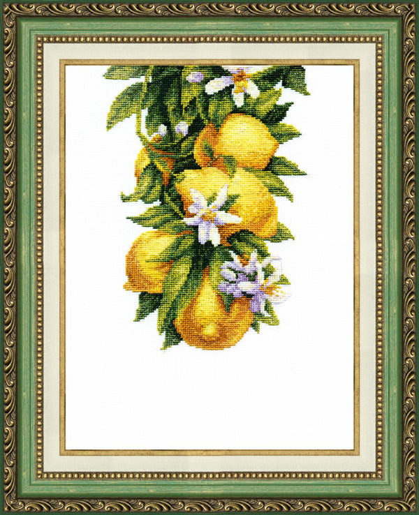 Counted Cross Stitch Kit