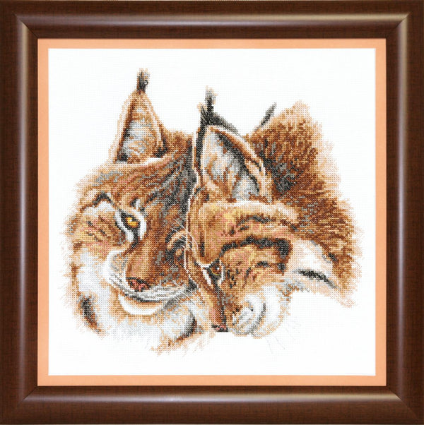 Counted Cross Stitch Kit