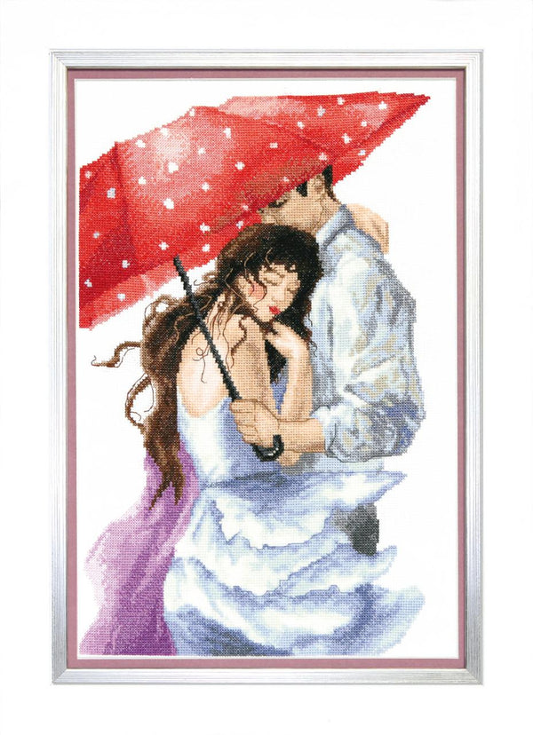 Counted Cross Stitch Kit