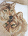files/101324093_170451907764907_9153749707255919142_n.jpg