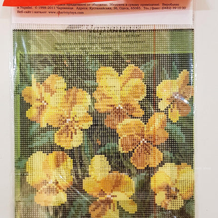 DIY Cross Stitch Kit "Cross Stitch Kit  (E-27 + threads)" with Printed Tapestry Canvas