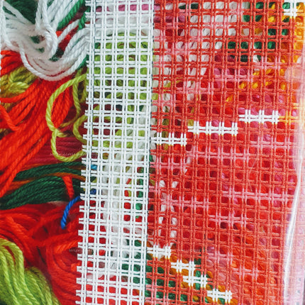 Cross Stitch Pillow Kit "Rainbow of Flowers"