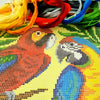 DIY Cross Stitch Kit "Parrots" with Printed Tapestry Canvas