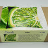 Needlepoint Pillow Kit "Lime Slice"