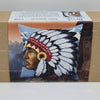 Needlepoint Pillow Kit "Native American"
