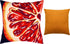 files/2485_237ff811-8e5d-4c37-ad46-39dafdb611ce.jpg