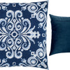 Needlepoint Pillow Kit "Polaris"