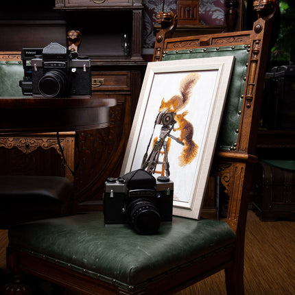 DIY Counted Cross Stitch Kit "Curiosity"