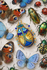 files/63B36E34-3229-46E5-999B-9D3AFB944C00.png