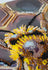 files/AB950_2.jpg