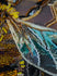 files/AB950_4.jpg