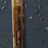 files/AB973_5.jpg