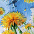 files/AB979_5.jpg