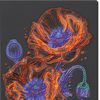 DIY Bead Embroidery Kit "Neon Poppies" 10.2"x20.9" / 26.0x53.0 cm