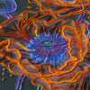 DIY Bead Embroidery Kit "Neon Poppies" 10.2"x20.9" / 26.0x53.0 cm