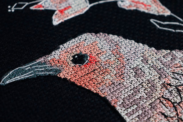 DIY Cross Stitch Kit 