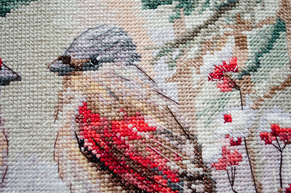 DIY Cross Stitch Kit 