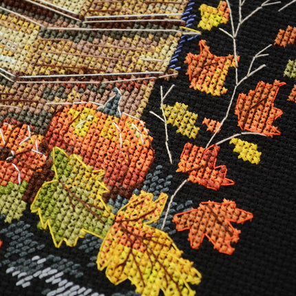DIY Cross Stitch Kit "Cross-stitch kits Magic pages" 7.1x10.2 in