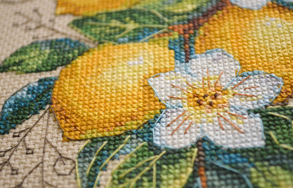 DIY Cross Stitch Kit 