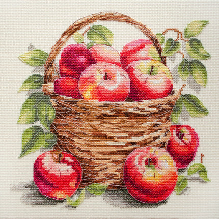 DIY Cross Stitch Kit "Bulk apples" 9.1x8.7 in