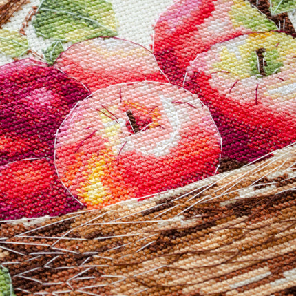 DIY Cross Stitch Kit "Bulk apples" 9.1x8.7 in