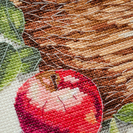DIY Cross Stitch Kit "Bulk apples" 9.1x8.7 in