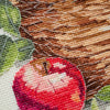 DIY Cross Stitch Kit "Bulk apples" 9.1x8.7 in