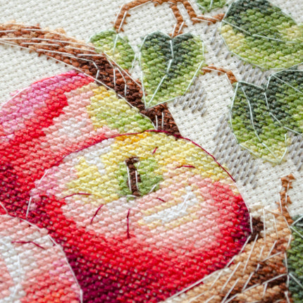 DIY Cross Stitch Kit "Bulk apples" 9.1x8.7 in