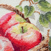 DIY Cross Stitch Kit "Bulk apples" 9.1x8.7 in