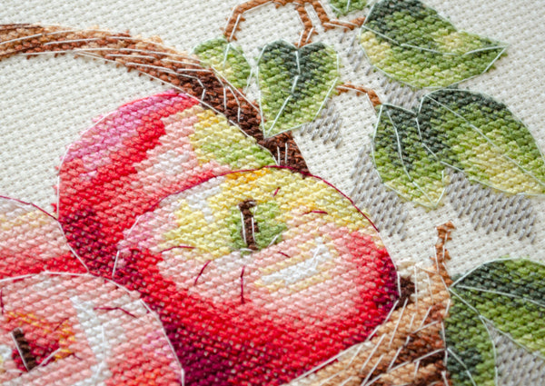 DIY Cross Stitch Kit 