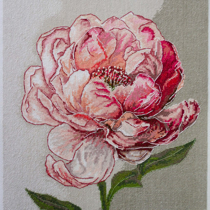 DIY Cross Stitch Kit "Graceful beauty" 9.1x12.2 in