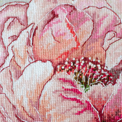 DIY Cross Stitch Kit "Graceful beauty" 9.1x12.2 in