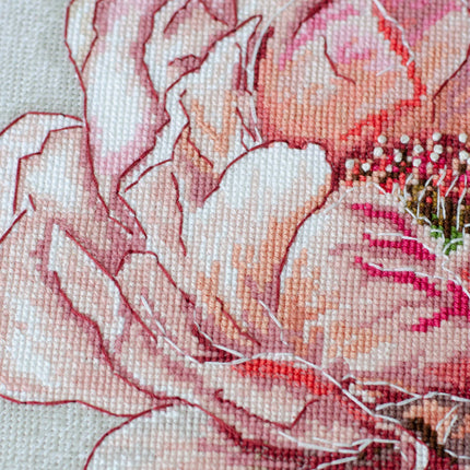 DIY Cross Stitch Kit "Graceful beauty" 9.1x12.2 in