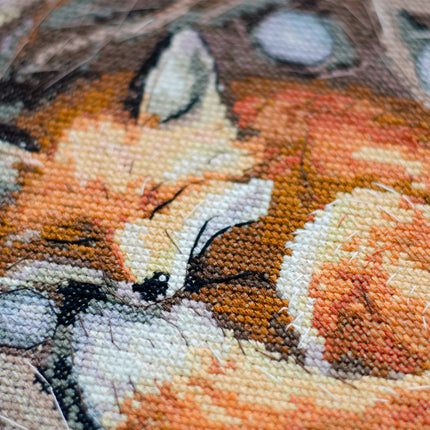 DIY Cross Stitch Kit "Protector of a foreign home" 11.8x11.8 in