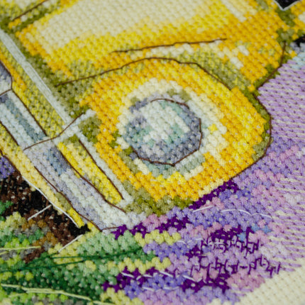 DIY Cross Stitch Kit "Adventures of Provence" 7.5x8.7 in