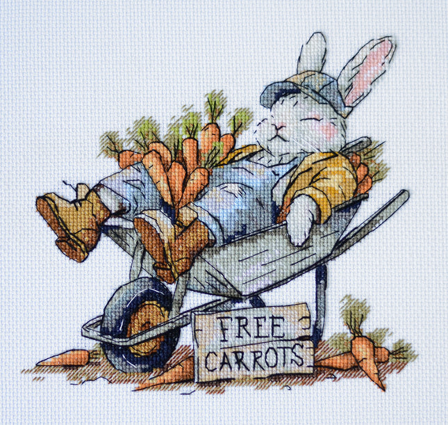DIY Cross Stitch Kit "Free carrots " 7.9x7.1 in