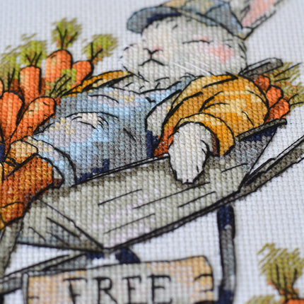 DIY Cross Stitch Kit "Free carrots " 7.9x7.1 in