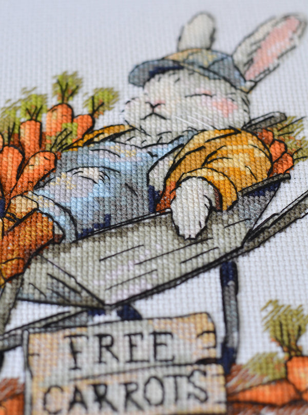DIY Cross Stitch Kit 