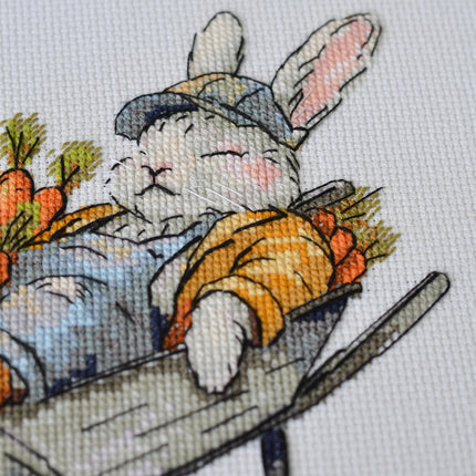 DIY Cross Stitch Kit "Free carrots " 7.9x7.1 in