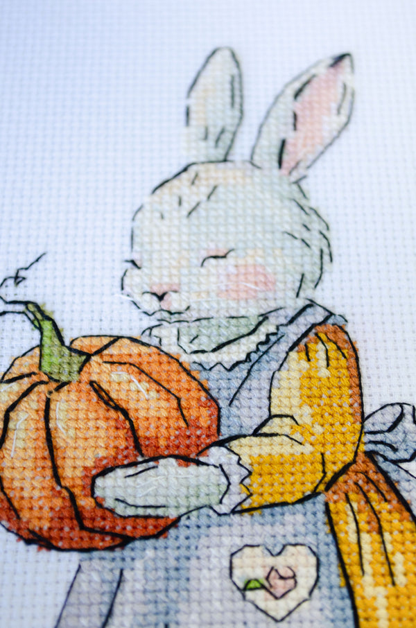 DIY Cross Stitch Kit 