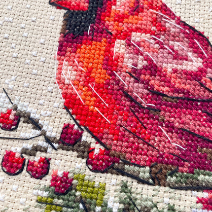 Counted Cross Stitch Kit "Cross-stitch kits Winter Cardinal"