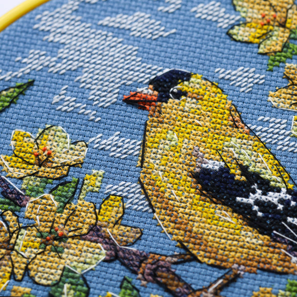 Counted Cross Stitch Kit 
