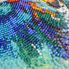 DIY Bead Embroidery Kit "Respectable peacock"  5.9"x5.9" / 15.0x15.0 cm