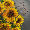 DIY Bead Embroidery Kit "Homely sunflowers"  5.9"x5.9" / 15.0x15.0 cm