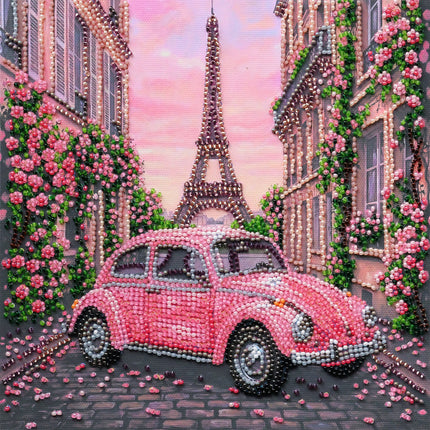 DIY Bead Embroidery Kit "La Vie en rose"