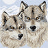 DIY Cross Stitch Kit "Wolves" with Printed Tapestry Canvas
