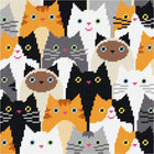 DIY Cross Stitch Kit 