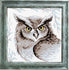 DIY Cross Stitch Kit "Owl" with Printed Tapestry Canvas