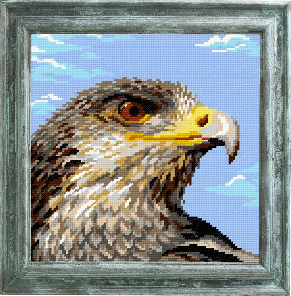 DIY Cross Stitch Kit "Eagle" with Printed Tapestry Canvas