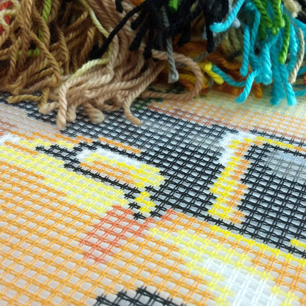 Needlepoint Pillow Kit "Texas"
